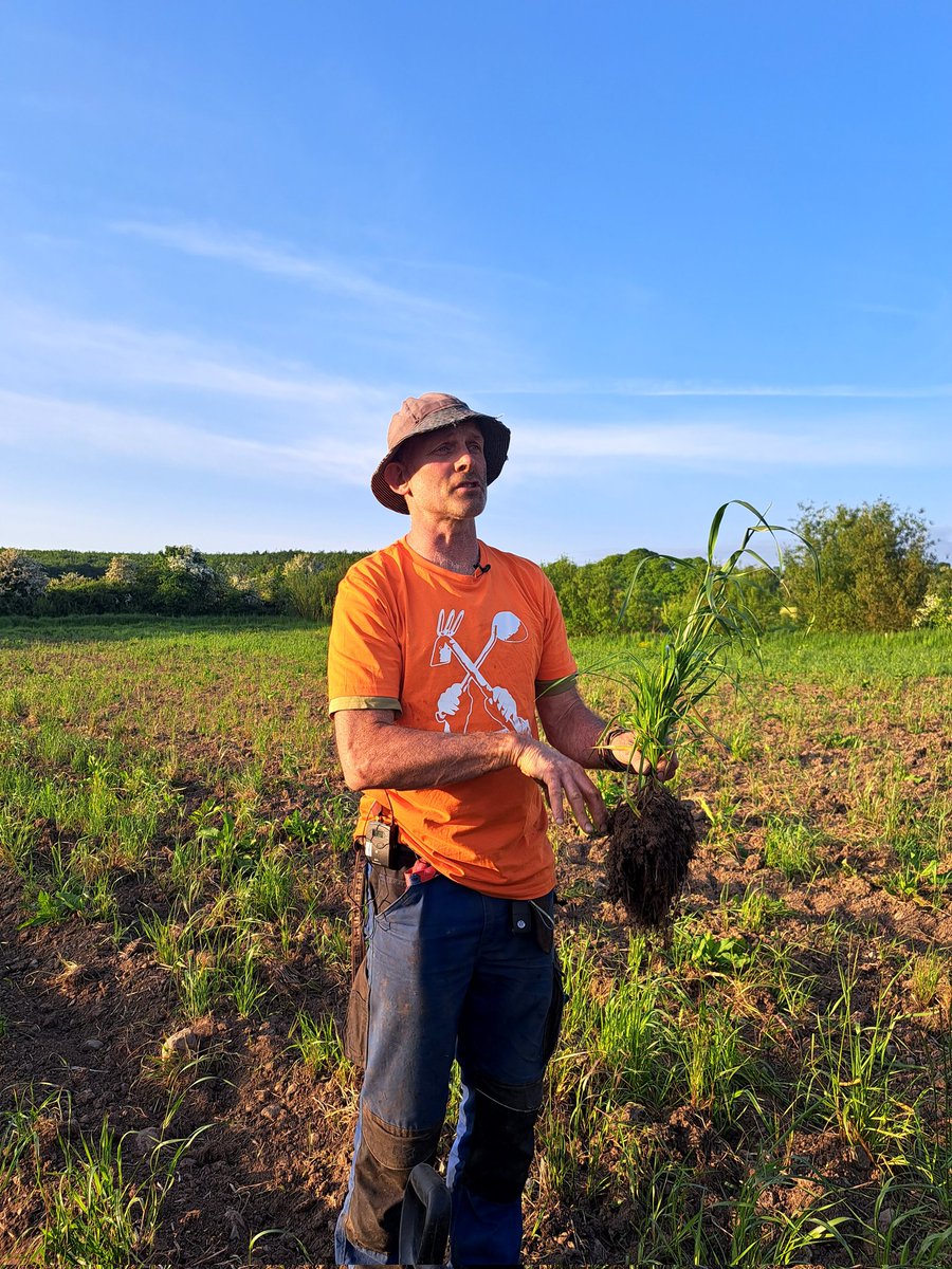 We're doing:
A farm walk Sunday
A dinner dance - aka #EatsandBeats - Saturday night
Hosting Friday in our food hub....
see you in #Cloughjordan👩‍🌾🕺💃🥕🍞🫛