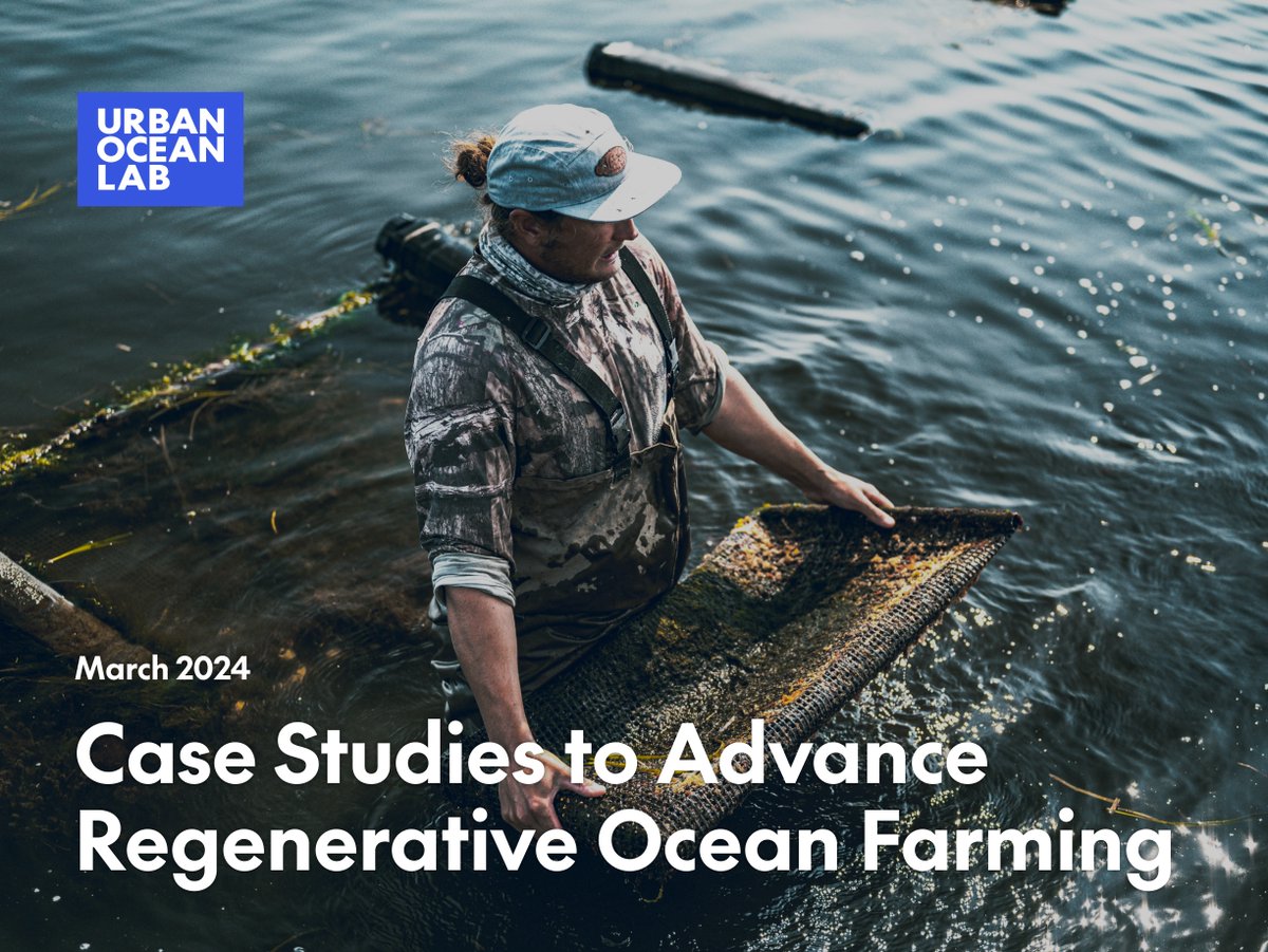 📣Out now! We’re continuing our regenerative ocean farming series with two new case studies looking at workforce development in Biloxi, Mississippi, and seafood purchasing programs in New England. Check them out to see our policy recommendations in action: urbanoceanlab.org/resource/case-…