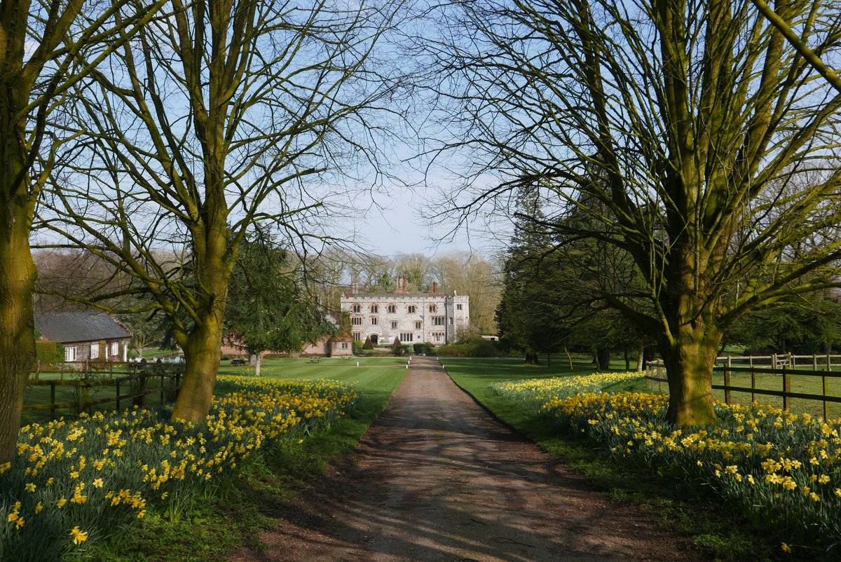 MANNINGTON ESTATE. Mannington, NR11 7BB. Open Sunday 24th March 11am-4.30pm. 20 glorious acres featuring shrubs, lake and trees. Extensive countryside walks. Refreshments available. Click here for more details findagarden.ngs.org.uk/garden/7521/ma… 👍