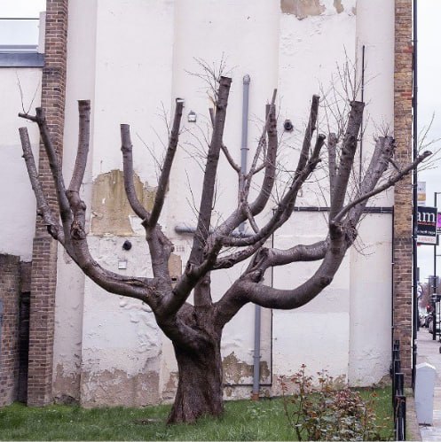 nexta_tv's tweet photo. Banksy's new work appeared in north London, it depicts the crown of a tree in the form of green paint drips

The artist himself confirmed that the work belongs to him, posting a photo of it on his page in Instagram. https://t.co/0LgYrTmYVv