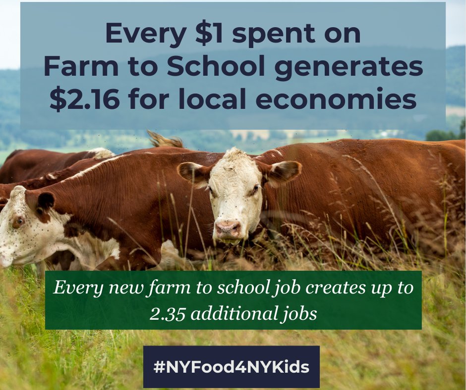 AFT New York tweet media