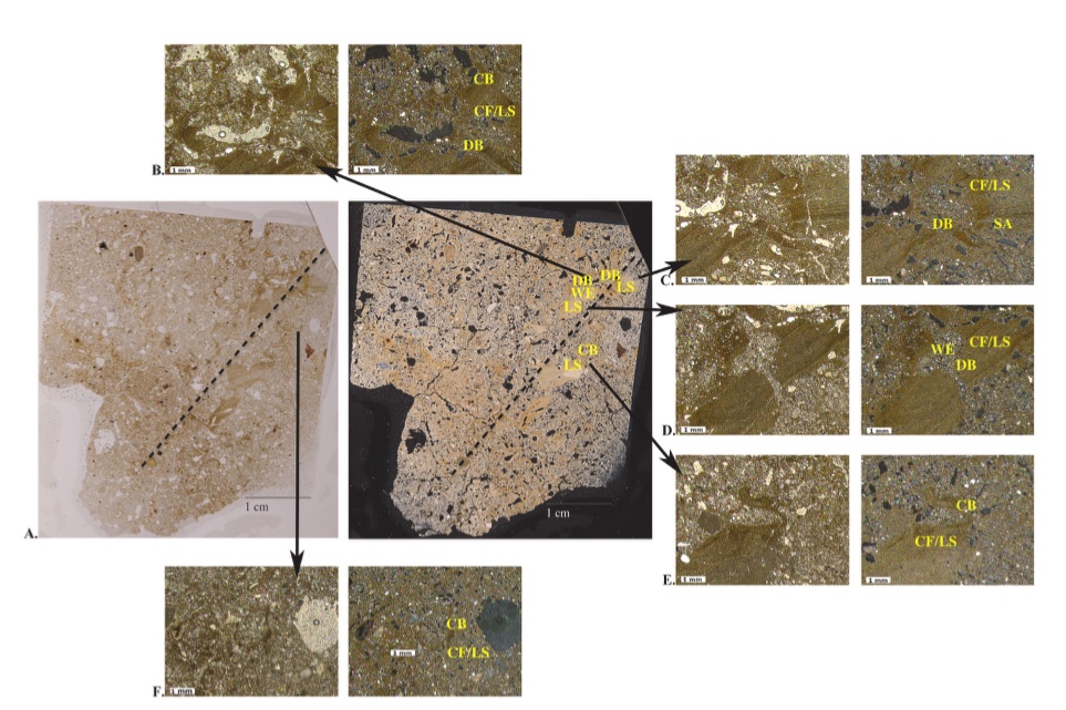 Amanda Gaggioli, Ph.D. tweet media