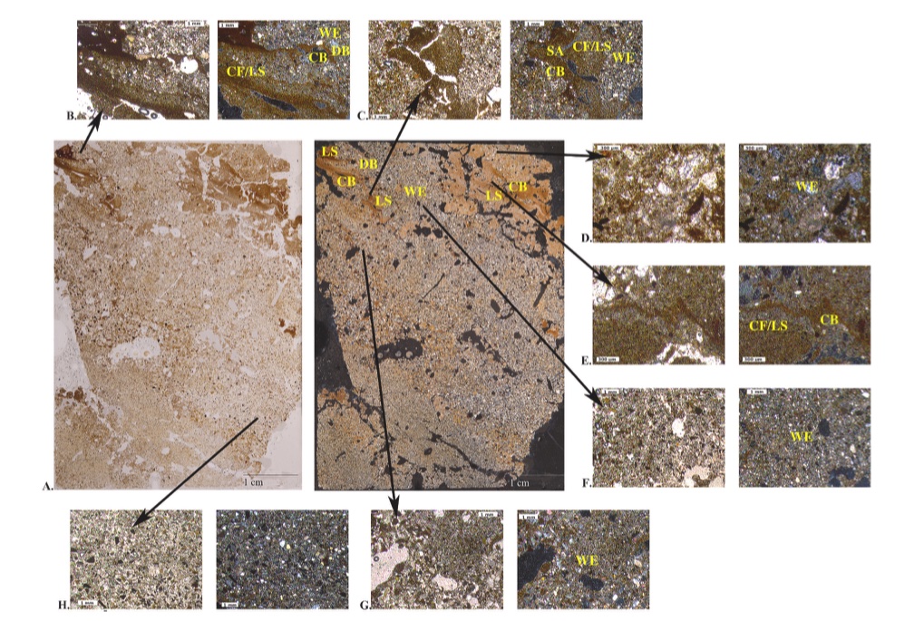 Amanda Gaggioli, Ph.D. tweet media