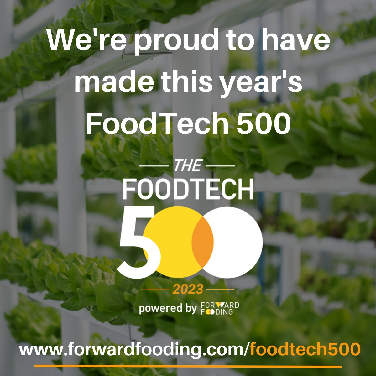 We've added another milestone to our list of achievements! 🏅 

We are thrilled to announce that we have secured the 90th position in this year's #FoodTech500 final ranking.

Thank you, @forwardfooding for this recognition.

#FruPro #FoodTech #AgriFoodTech #Innovation #Startups