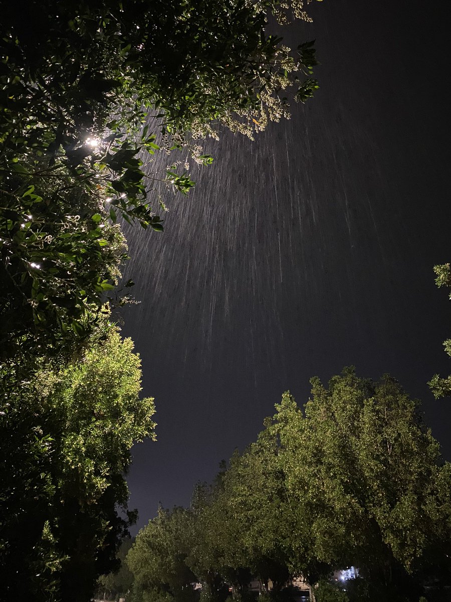 Nasser7Abo's tweet image. ليالي رمضان الممطره🤍.