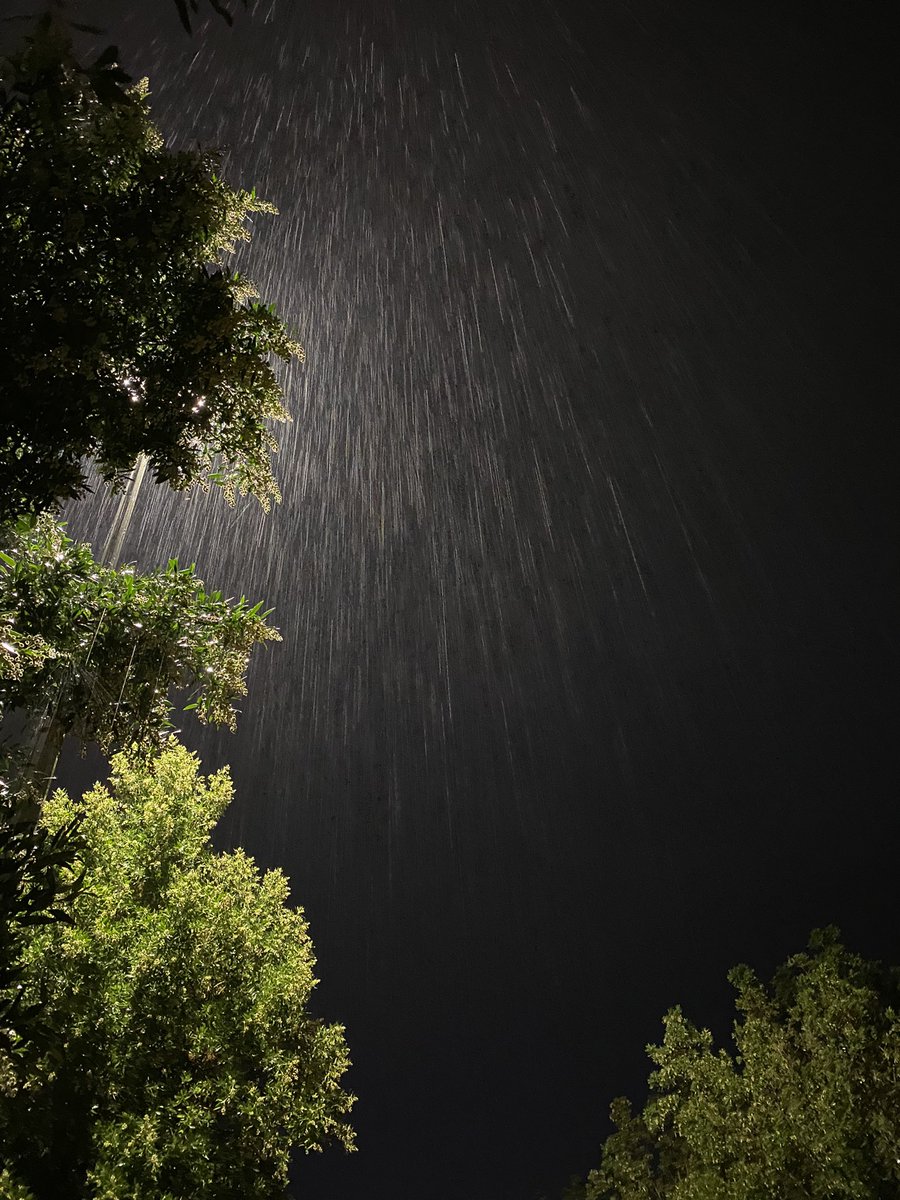 Nasser7Abo's tweet image. ليالي رمضان الممطره🤍.