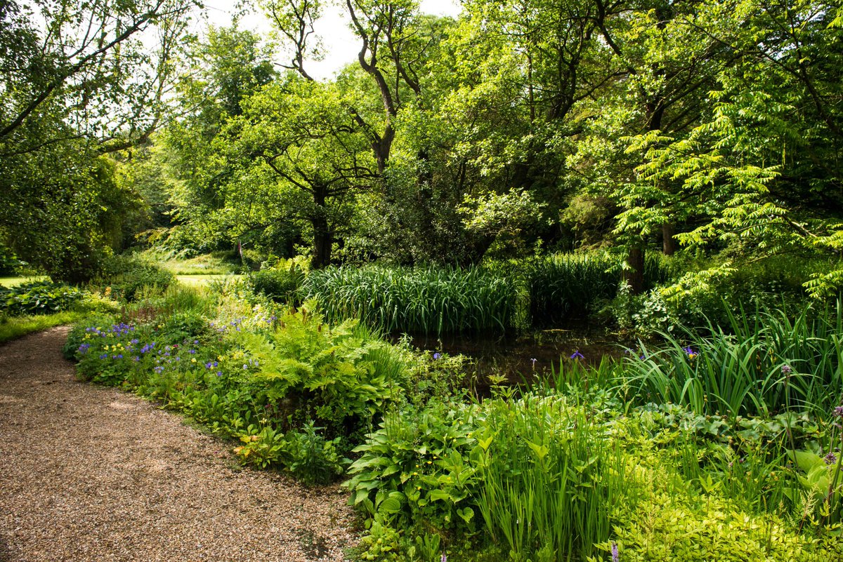 GAYTON HALL. Gayton, PE32 1PL. Opens this Sunday 24th March 12-5pm. A rambling semi-wild 20 acre garden with over 2 miles of paths, includes many varieties of unusual trees and shrubs. Dogs on leads welcomed. Refreshements! More details here findagarden.ngs.org.uk/garden/2541/ga…