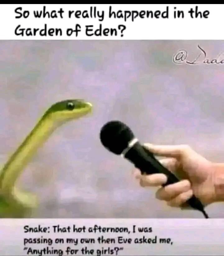 kingdom_X (@kingvktor) on Twitter photo 