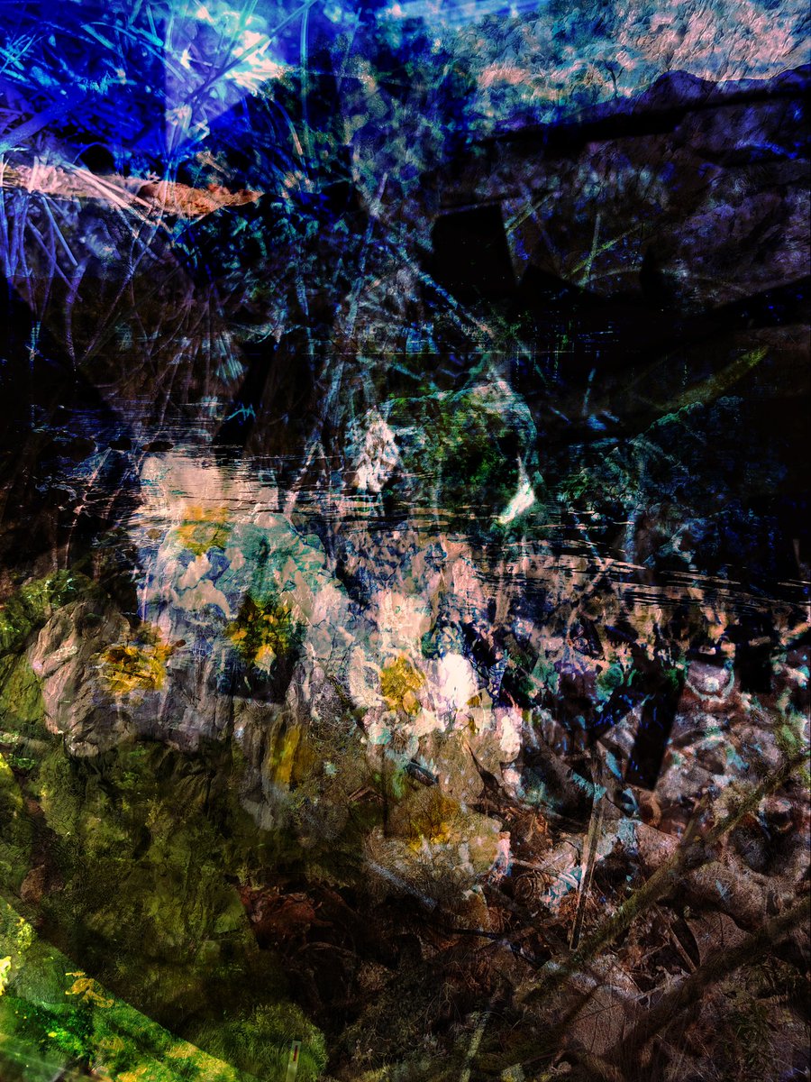 ideasrex's tweet photo. All that mycelium that we think we understand, the entanglement that goes beyond calculus, togetherness of time and space that reaches far and is still standing still. #photocomposition #irinaideas #ideasrex https://t.co/tfffmmkRxW
