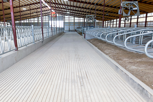 FoxCitiesBuild's tweet image. 🚜 Loehr Farms &amp;amp; Fox Cities Builders: Ag Construction Progress! 🌤️

This project will feature a 199x146 freestall barn addition that's quickly taking shape. 

#loehrfarmsllc #freestallbarn #newaddition #agconstruction #foxcitiesbuilders