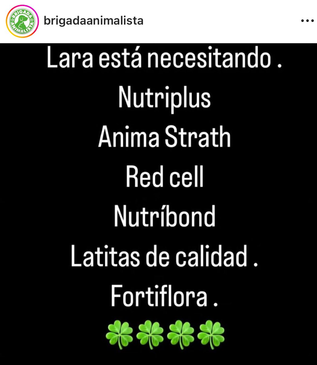 Brigada_Anim's tweet photo. #Cat Lara es una 👵 encontrada con hipotermia, desnutrición y una hernia. 
Lo positivo es q tiene apetito, ganas de luchar y vivir. 
Recuperar una🐱en estas condiciones es complicado y caro.
Les dejamos una lista de las cosas q necesita para sanar. Inf: https://t.co/tPmMAY7mqe https://t.co/yVaX6j6KEP