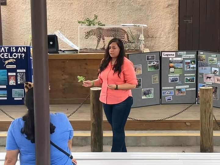 Loved sharing how important Thornforests habitat is for ocelot conservation this weekend at Ocelot Conservation Day with the Rio Grande Valley community! <a href="/AmericanForests/">American Forests</a> RGV restoration is focused on building corridors for the ocelot &amp; other spp!