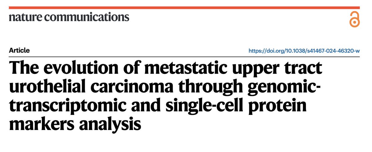 Dr. Bishoy M. Faltas tweet media