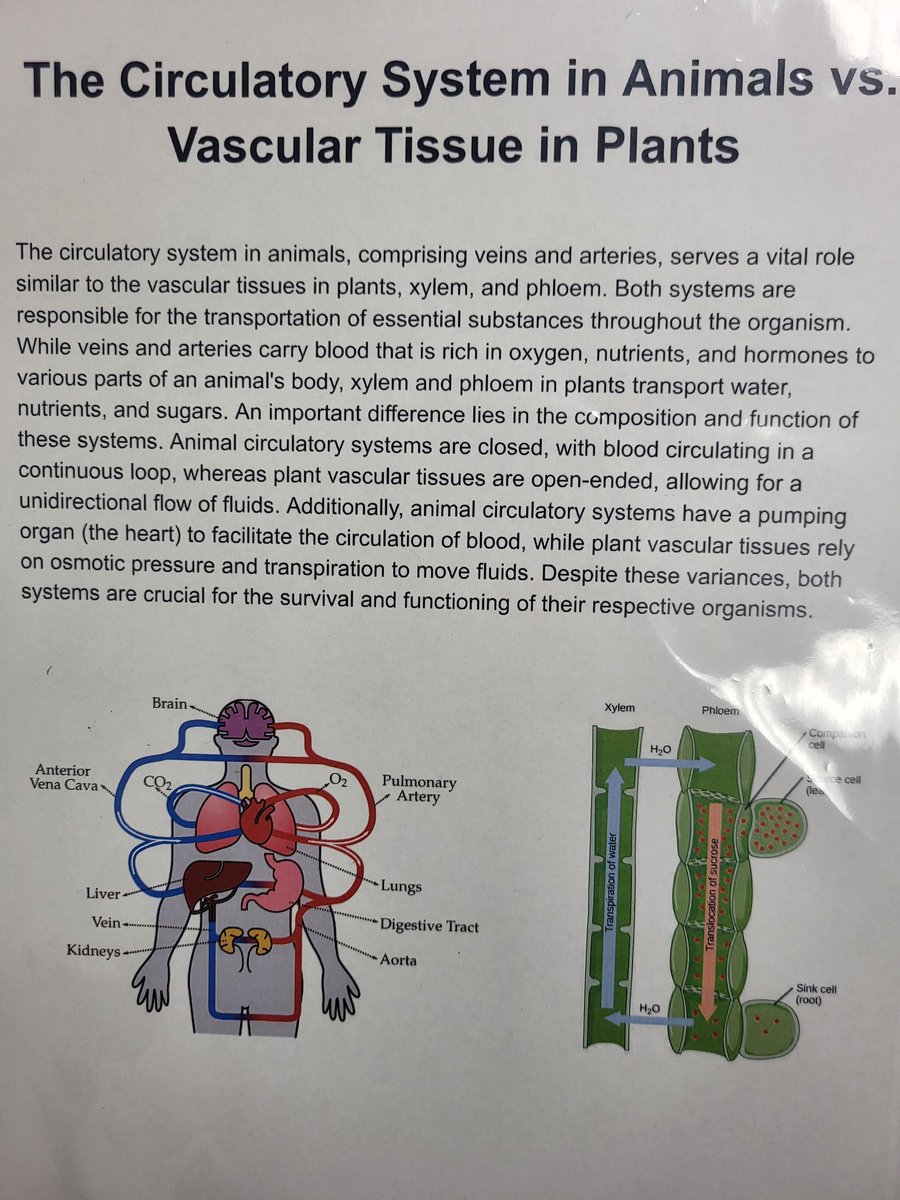 Kaitlyn Zoesch, M. Ed tweet media