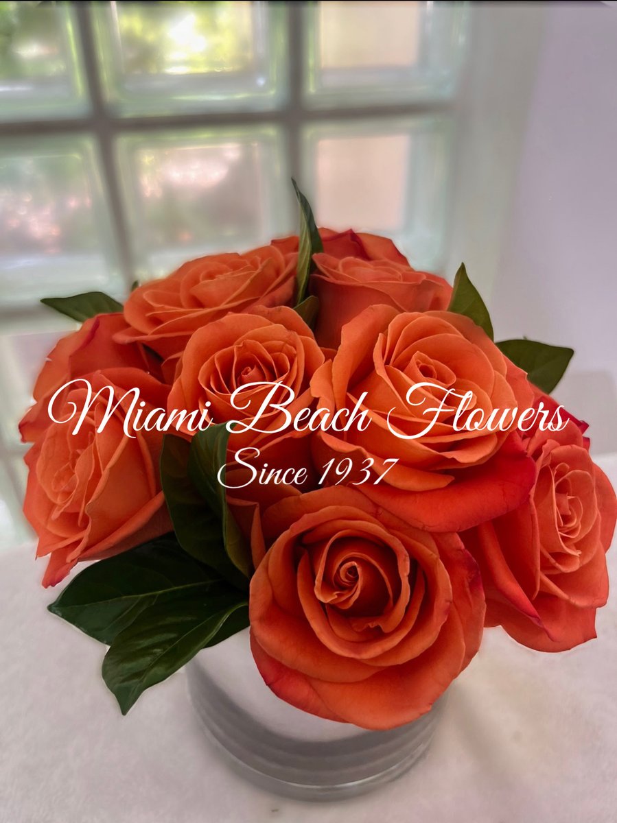 Surf_Florist's tweet photo. Crafted with love, delivered with care. https://t.co/4e7rCEgKO6