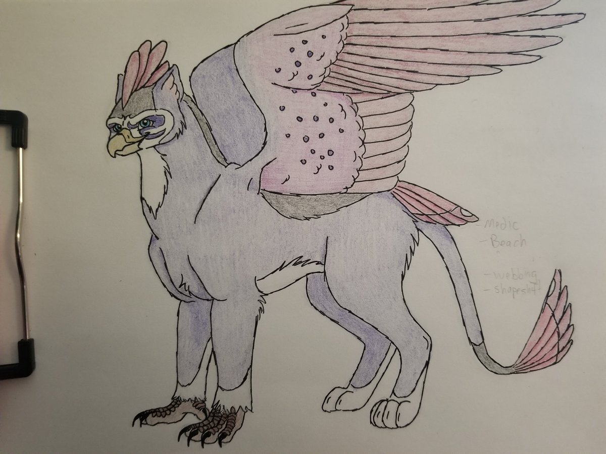 AuthorAlesa's tweet image. A few more drawings for my students: two griffins and a representation of the 11th doctor that I&apos;m not entirely pleased with but spent too long obsessing over haha! #art #drawing #amteaching #forthestudents