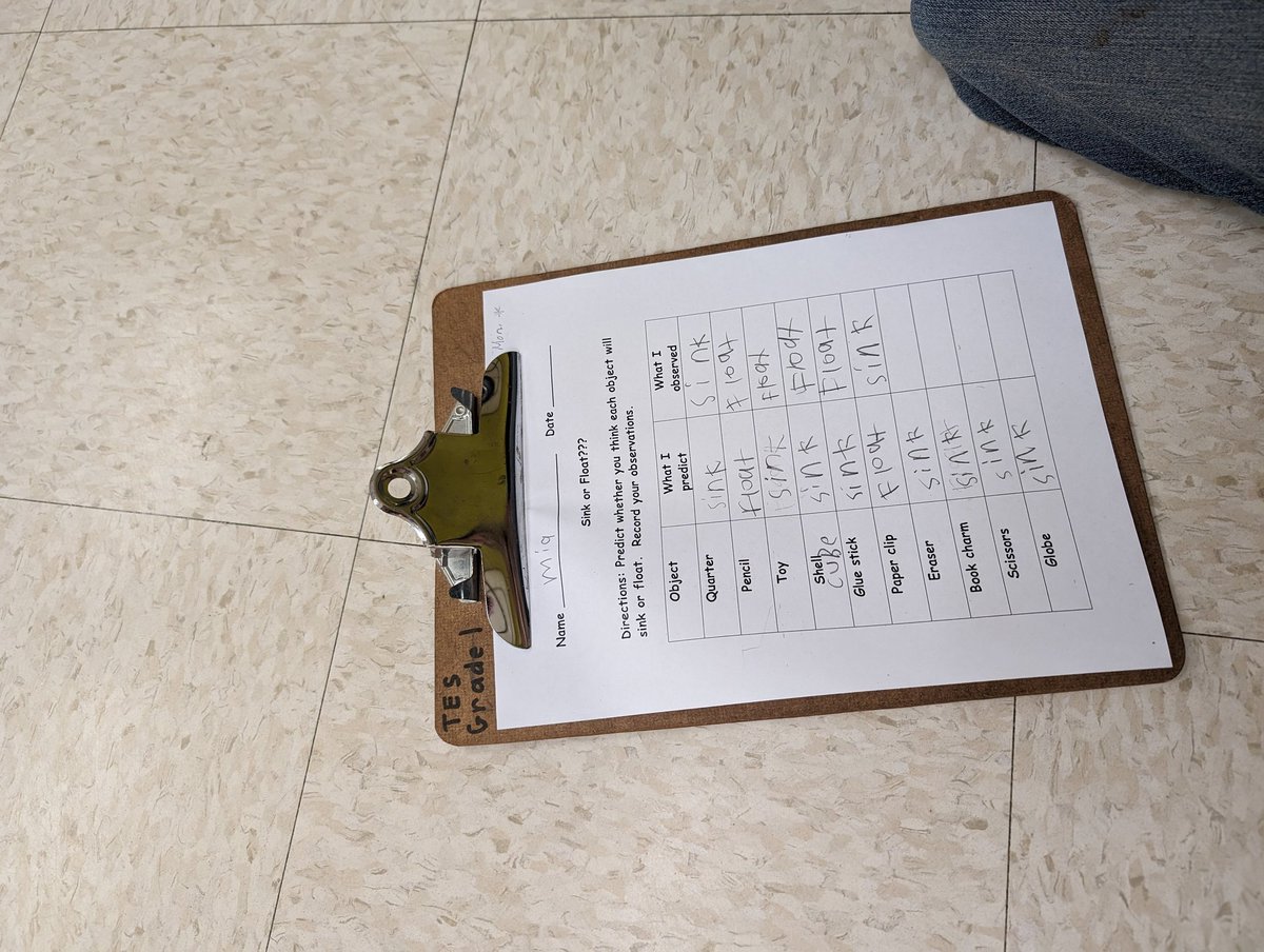 TESRockfish's tweet image. In Second Grade, students work to make predictions on whether an object will float or sink as part of learning about properties of matter. #sciencerules #tesrockfish