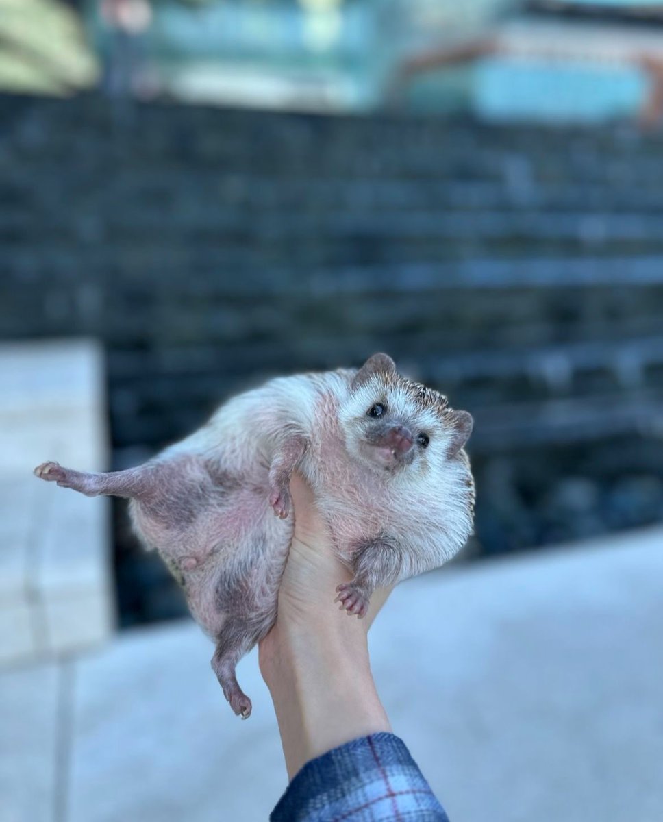 Monday 18th March, 2024