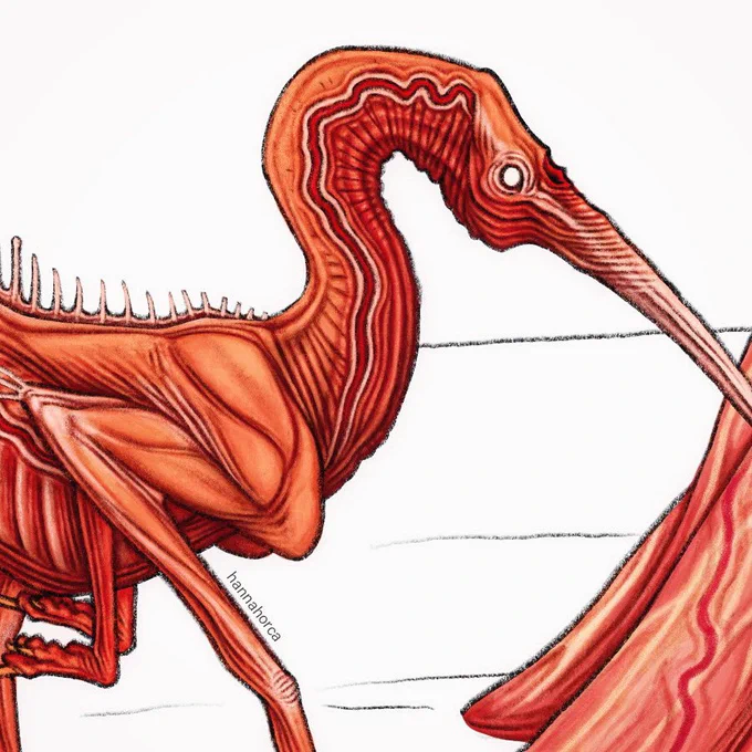Work in progress preview of my next demon book illustration 