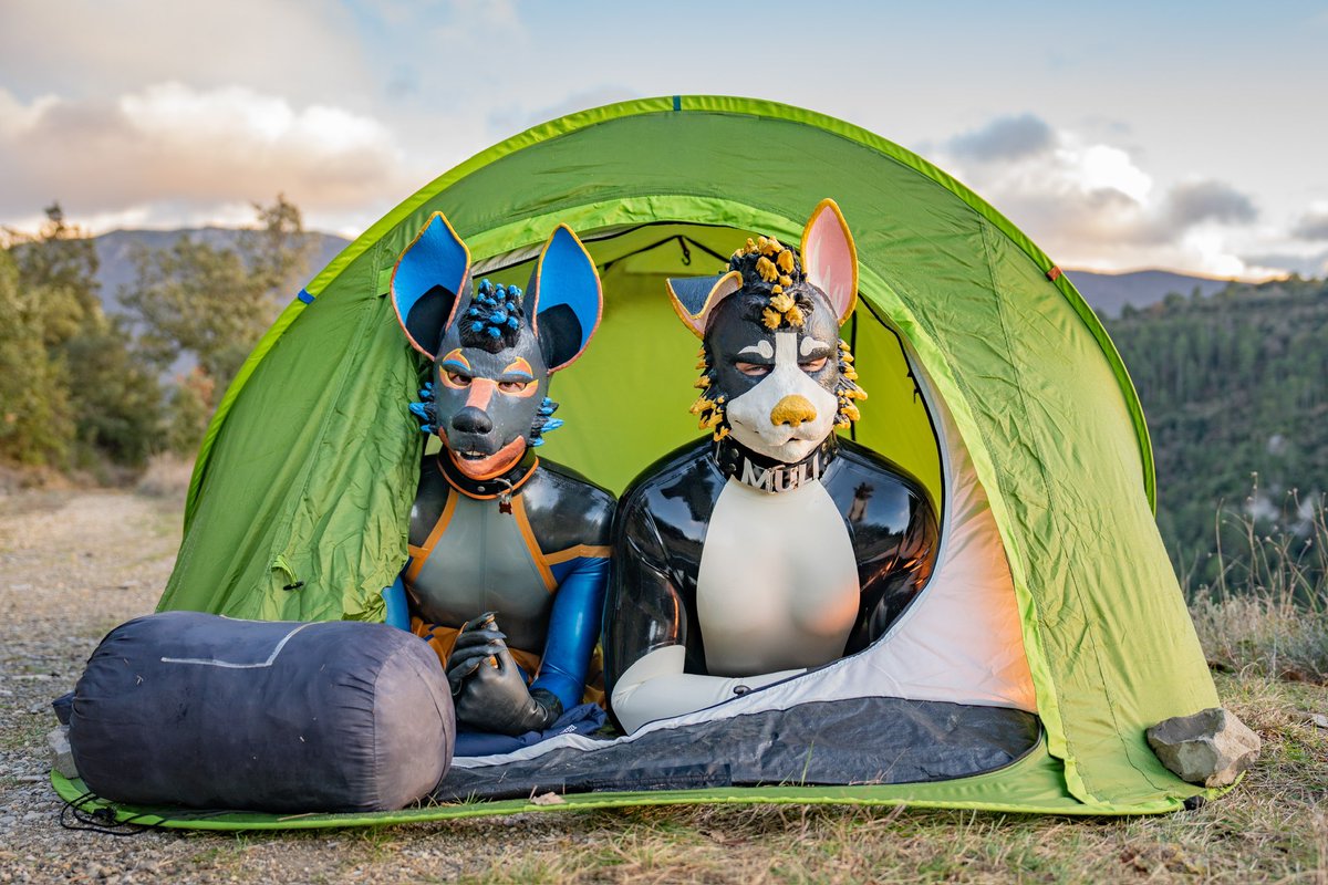 « Camp critters » of @FauntasticCon is really close now! Here a picture made for this event. Silly Doggo dazzled by the sun : @PupMuli Want to join our tent?🏕️ 📷 @tihmouse #furry #latex #rubber #rubberfur #latexfur #camping #fauntastic