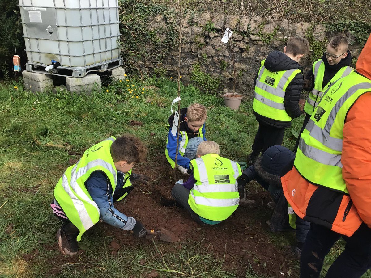 Swallows had a busy morning at Pennar Hall - clearing the litter from the site and planting 6 fruit trees as part of the Community Garden space we are creating. Excellent collaboration from all concerned. @MicheleCllr @PembsOutdoorSch @_OLW_