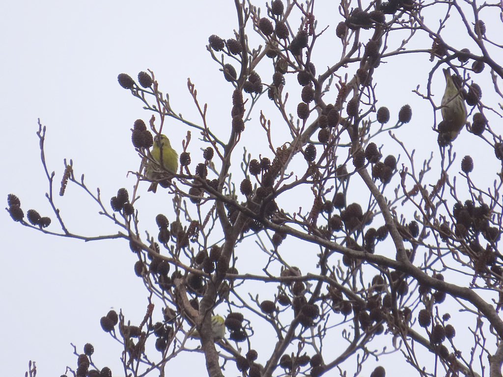 Nathalie Mahieu tweet media