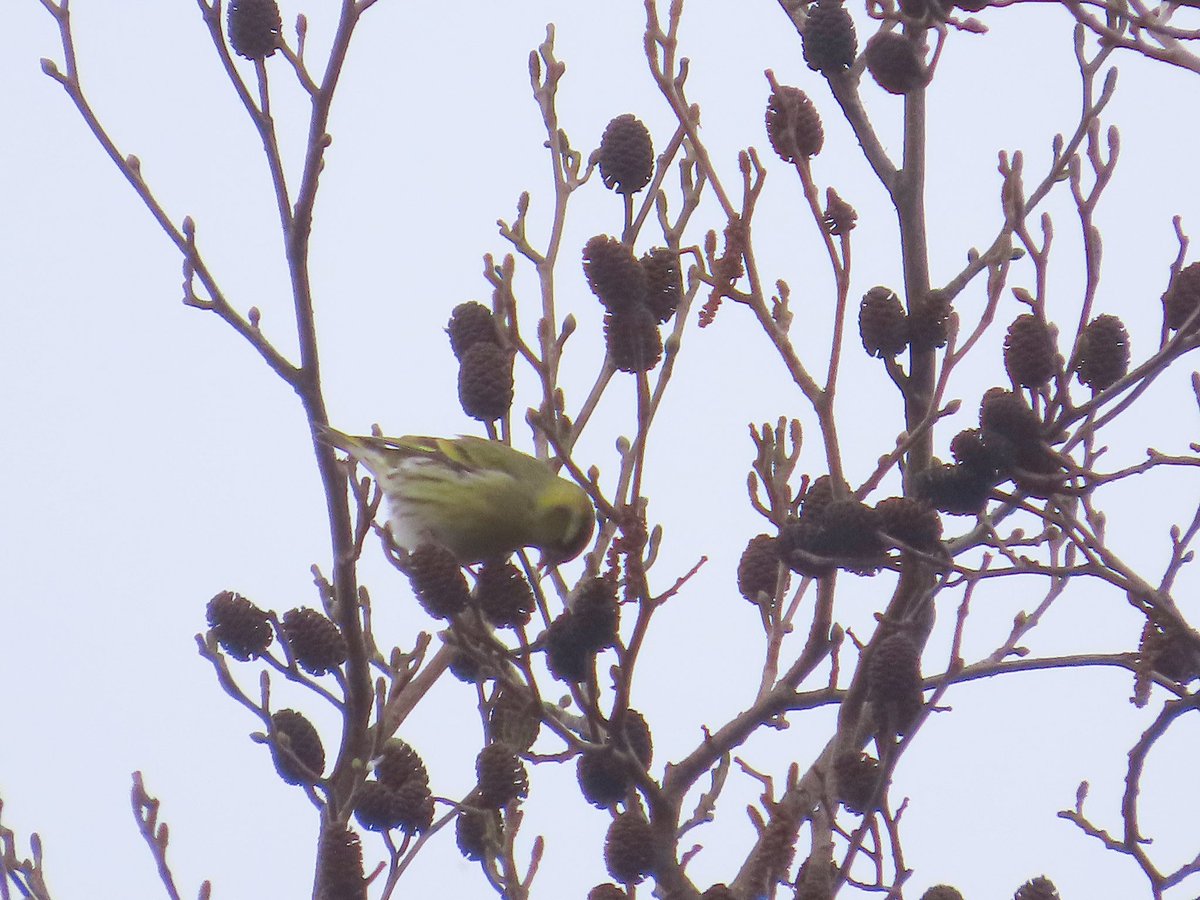 Nathalie Mahieu tweet media