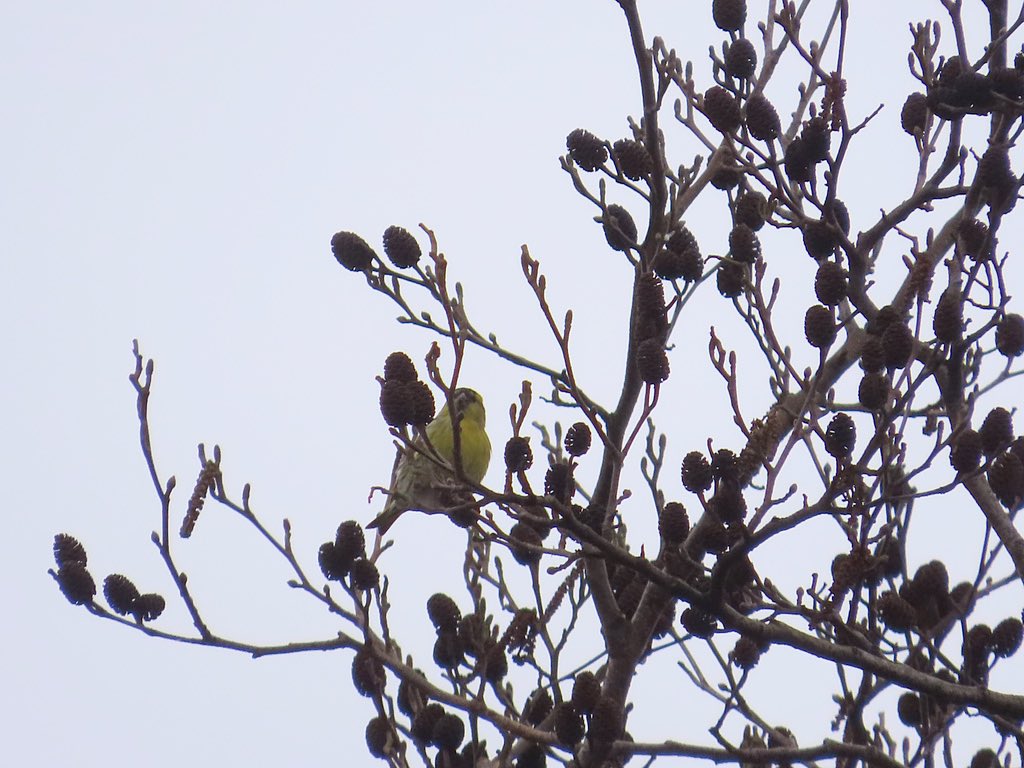 Nathalie Mahieu tweet media