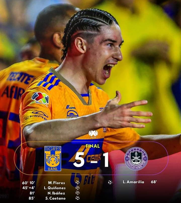 CONFORME AL PLAN ✨️ #DaleTigres🇺🇦