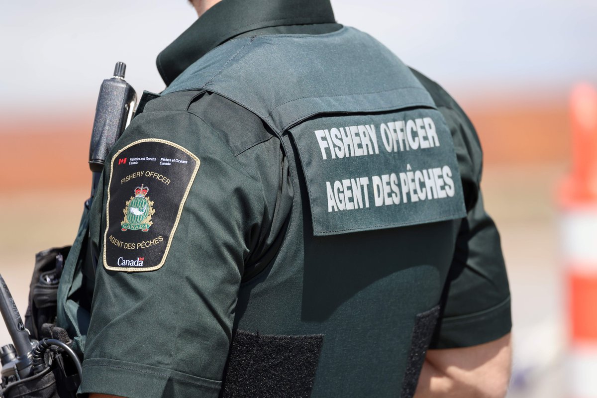 DFO_MAR's tweet photo. Since March 6 in separate incidents across Southwest NS, including Hubbards over the weekend, fishery officers arrested 26 individuals who are under investigation for infractions of the Fisheries Act &amp; Maritimes Provinces Fishery Regulations for the unauthorized harvest of elver. https://t.co/jUYbIsGQJh