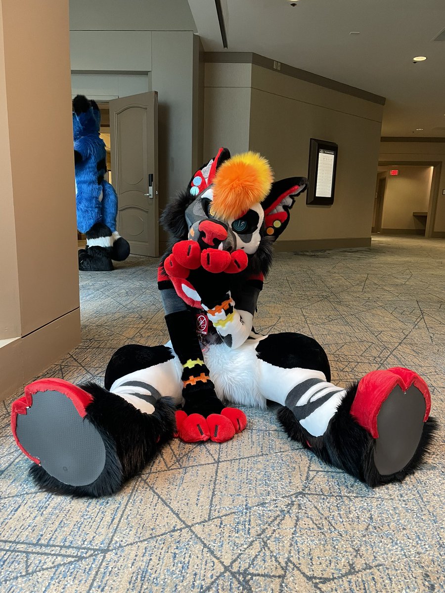 FurzoneCreations tweet media