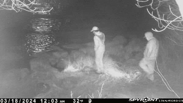 Speak of the devil. This afternoon DFO announced 26 river side arrests for unauthorized elver fishing, 6 vehicles seized and 6.5 kgs of elvers released back into rivers. The RCMP also laid assault charges This is a trail camera image of poaching this morning in Hubbards.