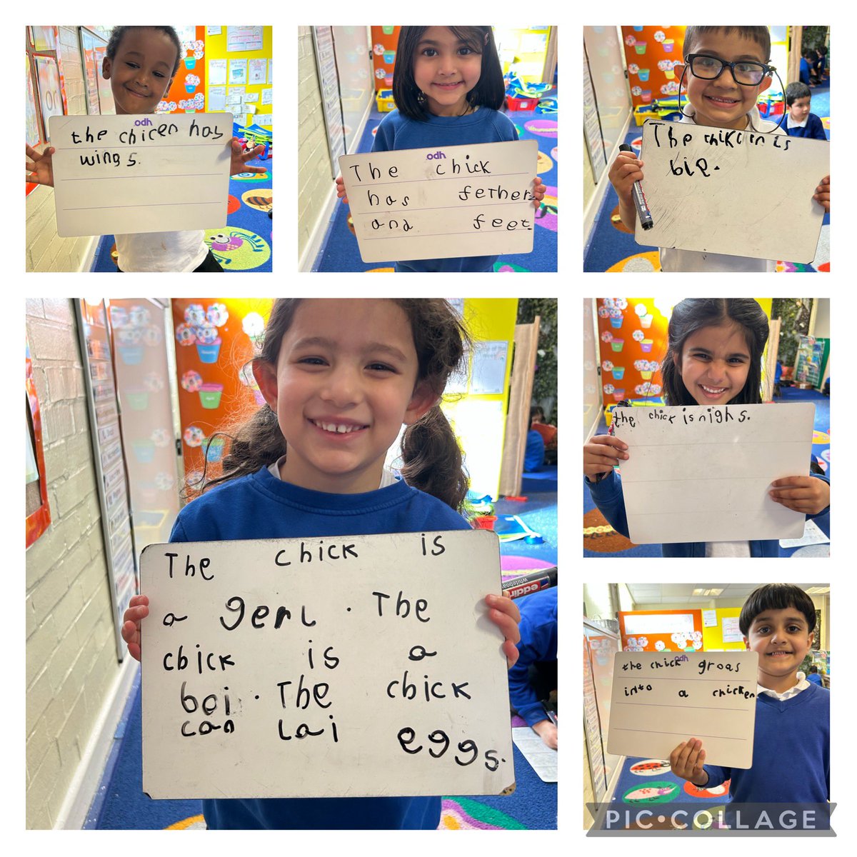 SunningHill Rec tweet media