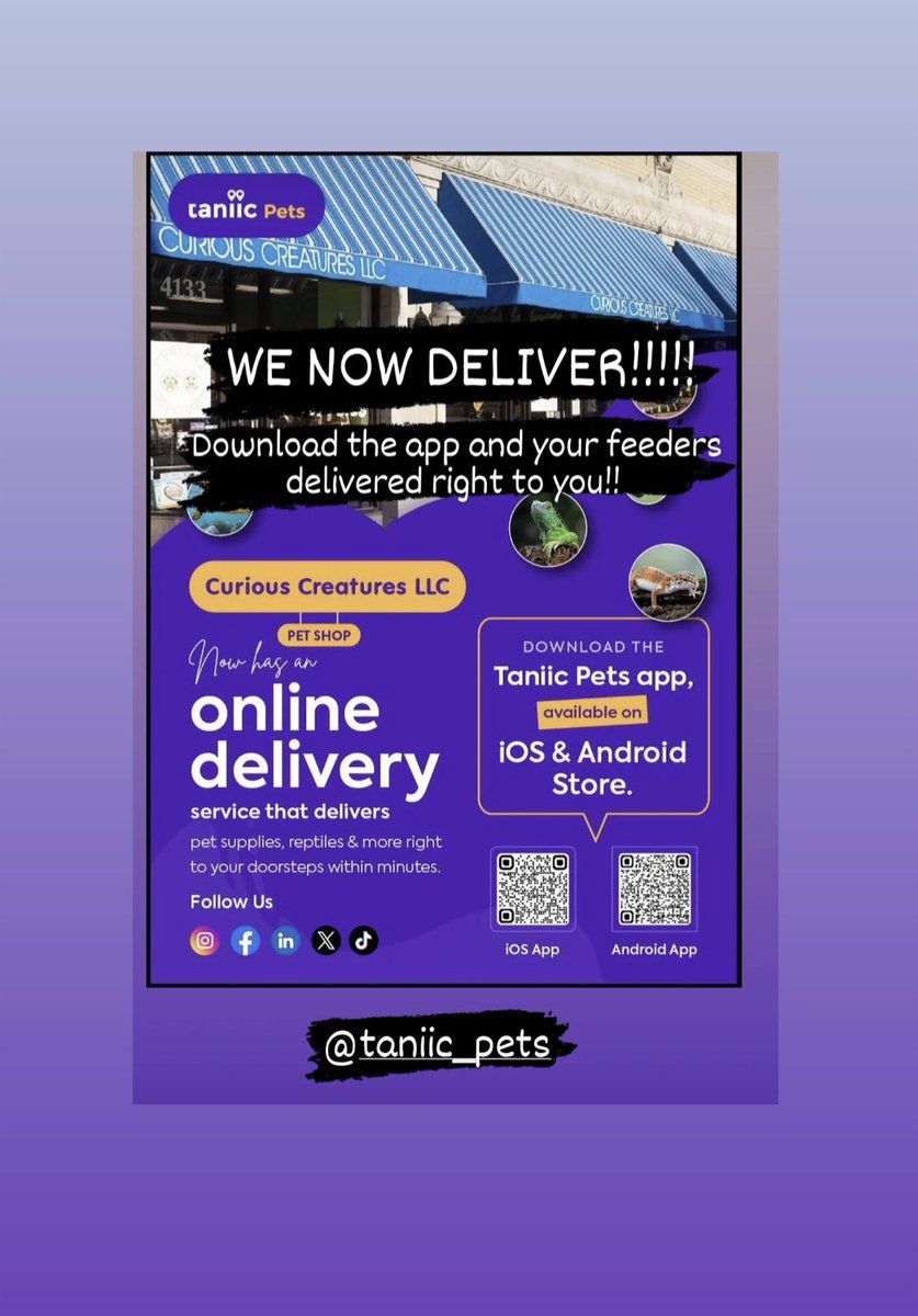 Curious Creatures LLC tweet media