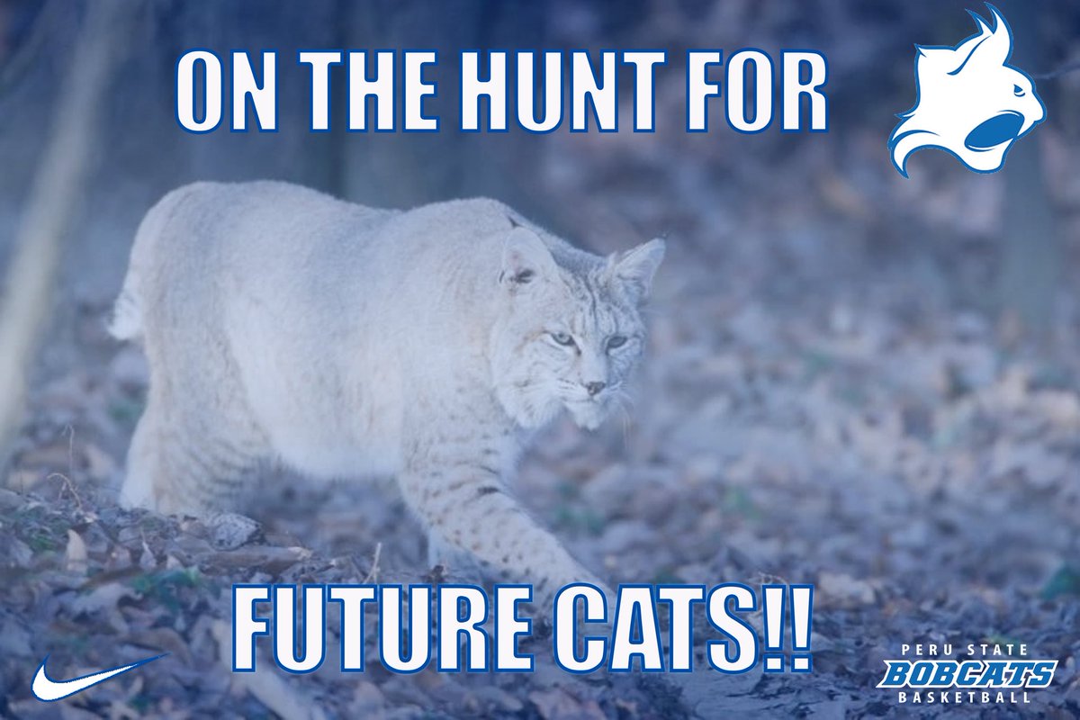 We are still on the hunt 👀🕵🏻‍♂️ for Bobcats in our 2024 recruiting class! DM us your cumulative GPA through your junior year, position, and film if you think you have what it takes! 🔵⚪️⚫️🐾

#OnTheHunt | #FutureCats | #24s | #PeruBall | #ClawsOut