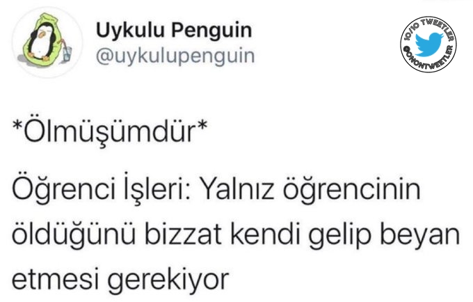 OnOnTweetler's tweet image. 