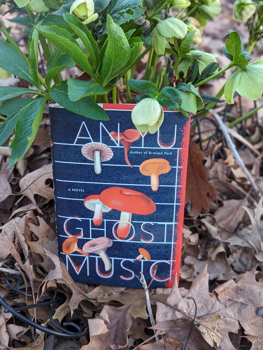 'From the author of the “original and electric” Braised Pork (Time), An Yu’s enchanting and contemplative novel of music and mushrooms follows a former concert pianist searching for the truth about a vanished musician' #urbanfiction #magicalrealism @anyuwrites @groveatlantic