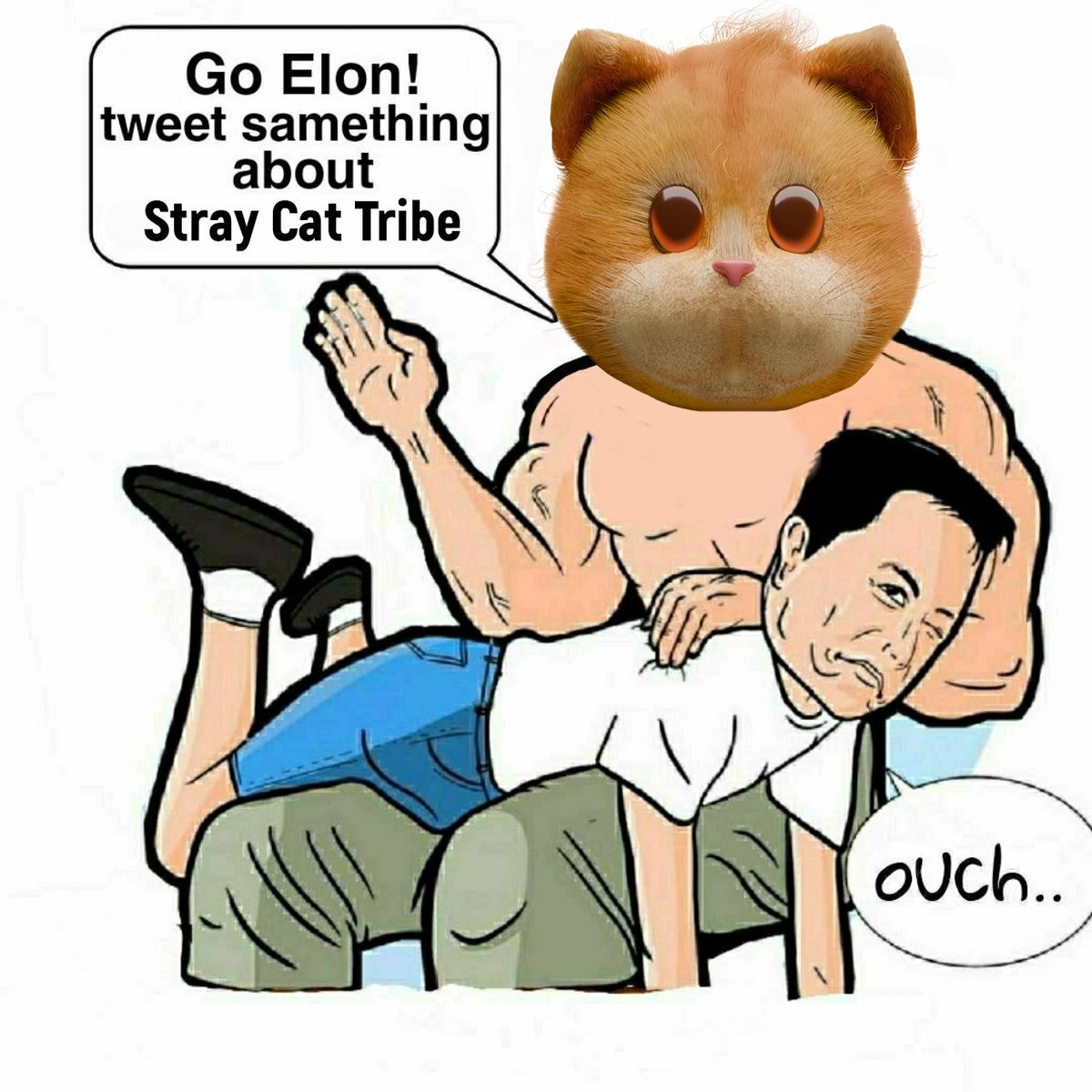 Roviy - Stray Cat Tribe tweet media