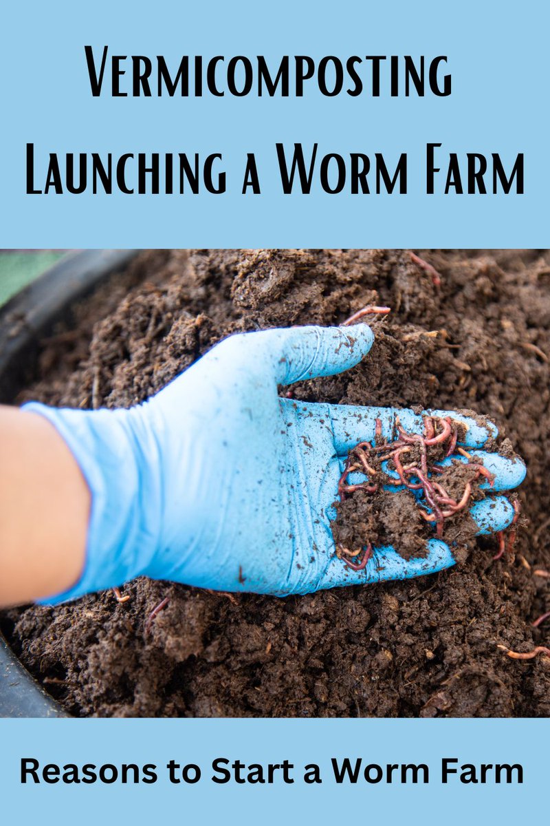 valerieraeg's tweet image. #Vermicomposting  Launching a #WormFarm
Let's nurture the earth together, one #worm at a time!  See why it might be right for you.🌎  #WormFarming #SustainableLiving #HomeBusiness #Business #RuralLife #Worms #EntrepreneurLife  #ReduceWaste
#Composting
medium.com/write-a-cataly…