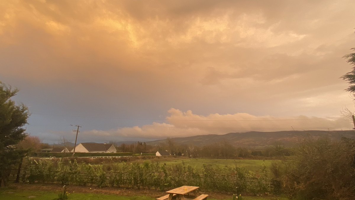 Dorothy Molloy ✍️📜✍️🐊 tweet media