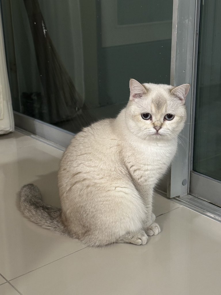 tangdah's tweet image. แกมีเพื่อนหน้าเต้าหู้ยัง