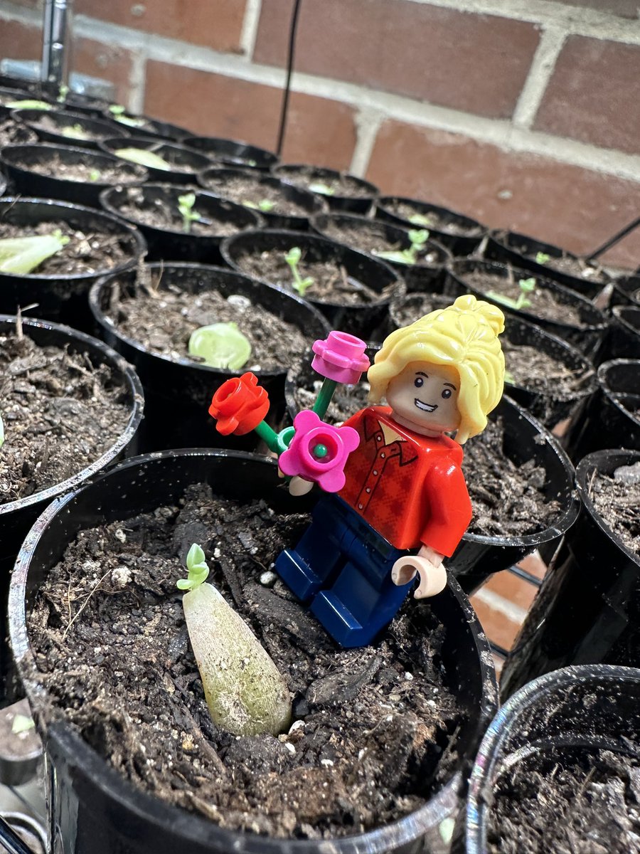It’s day 1 of #GaAgWeek! Today is hands on #gardening day. We don’t have a #garden but we sure have a lot of #succulents! #AnybodyWantAPlant? #PlantParent
