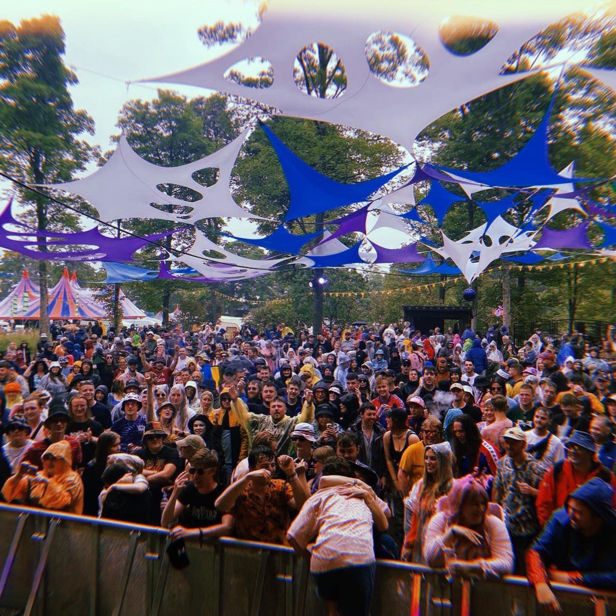 The Northern Threads tweet media