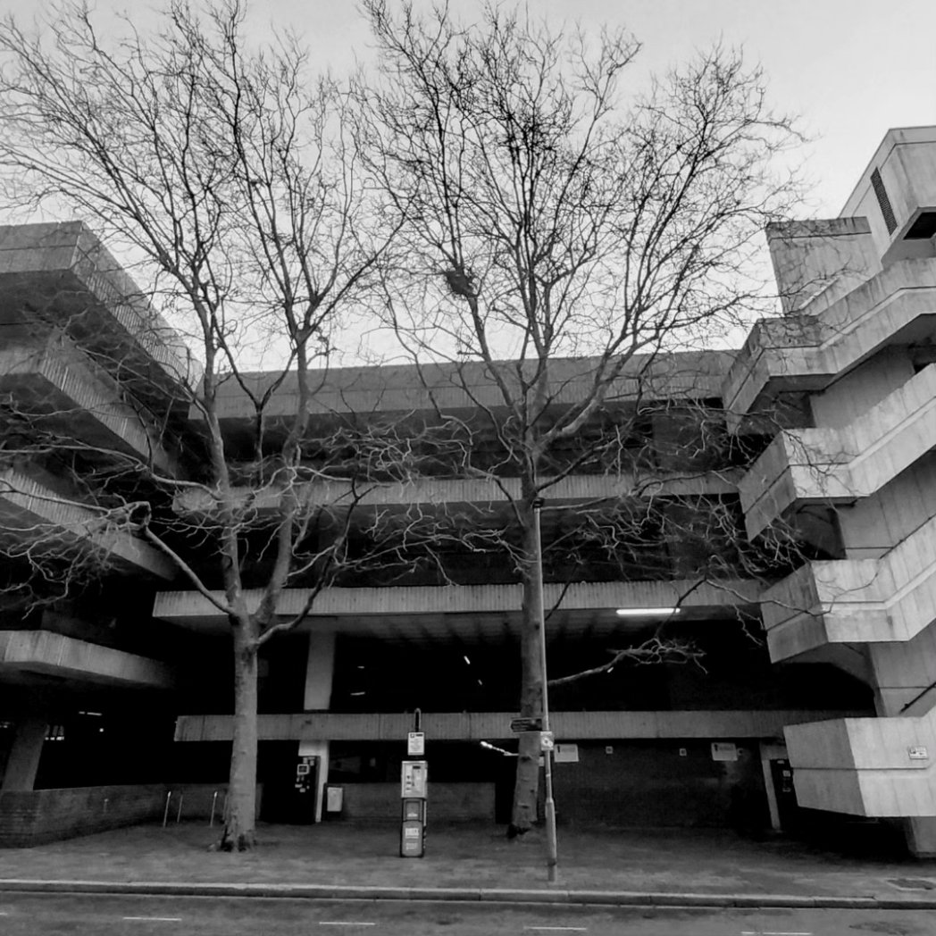 VelouriaRose's tweet photo. Portsmouth: a city, despite its mishmash of architectural eras and trends, the ghosts left by gentrification, still remains in tree-thrall. Trees claim their majesty here, always. #Portsmouth ##cityoftrees ##treesforcities https://t.co/029CwIAXZc
