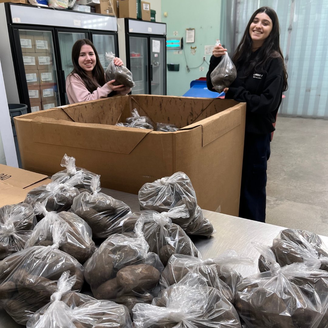 Shout-out to our student #volunteers for helping to bag potatoes generously donated by Farm Link. #ThankYou, together we're making a difference for our #Caledon neighbours in need! #GivingBack