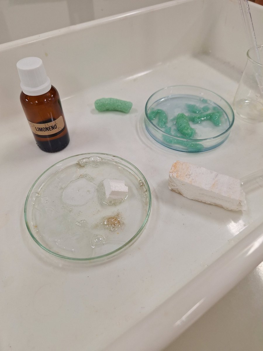 Alfredo Mateus 🧪⌬ tweet media