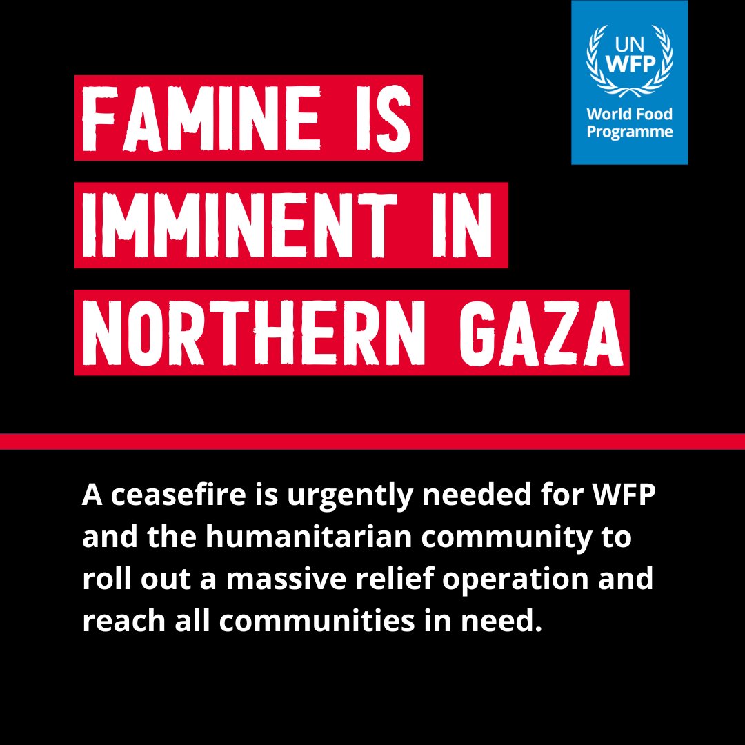 Gaza: 1.1 million people have completely exhausted their food supplies and are struggling with catastrophic hunger.

The UN says there is a very small window left to prevent outright famine and save lives. linkedin.com/pulse/heres-la…