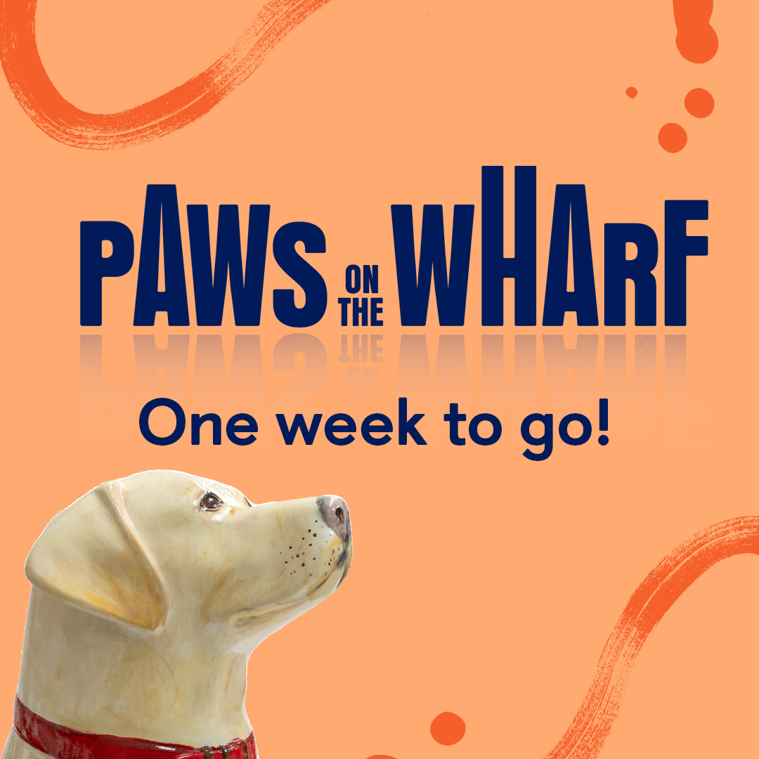 It’s only one week until #PawsOnTheWharf goes live! With @wildinart, we're proud to present this free & accessible art trail in Canary Wharf from 25 March to 17 May. There are 25 guide dog sculptures, each painted by an incredible artist. More details at: bit.ly/3TeT82s