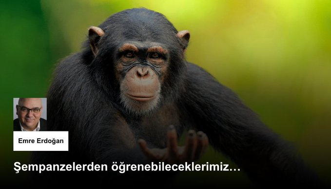Yeni Arayış tweet media