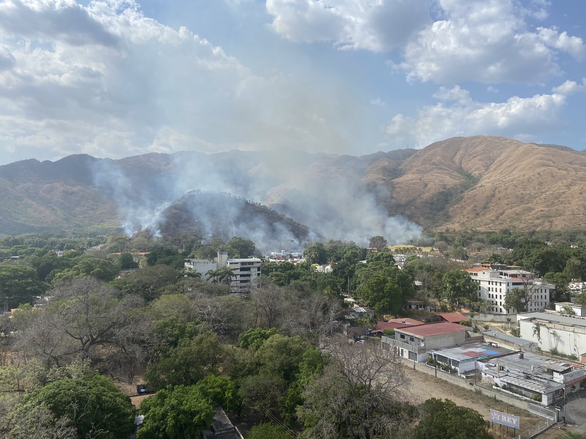 MIZA-UCV tweet media